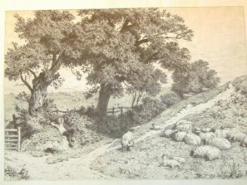 : item #17, image 3