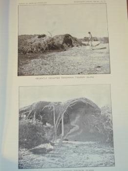 : item #2, image 3