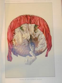 : item #2, image 5