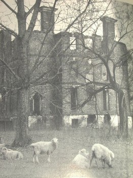 : item #1, image 4