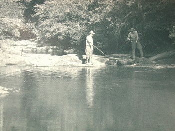 : item #35, image 4