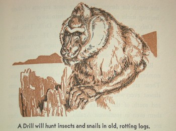 : item #28, image 2