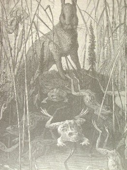 : item #11, image 3