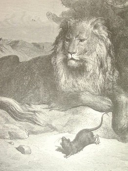 : item #11, image 4