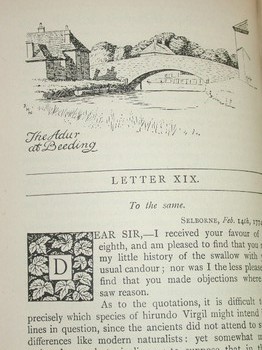 : item #13, image 5