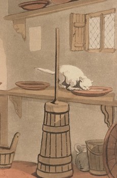 : item #10, image 4