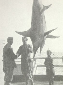 : item #7, image 3