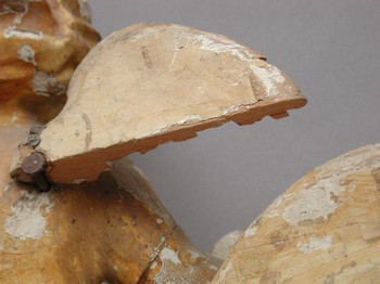 : item #16, image 6