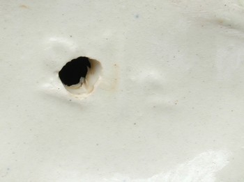 : item #26, image 5