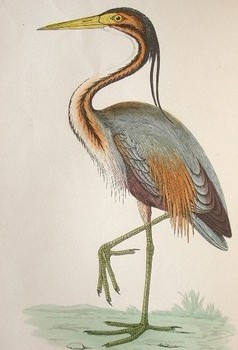 : item #12, image 4