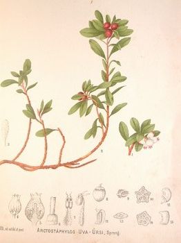 : item #14, image 2