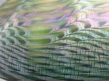: item #3, image 5