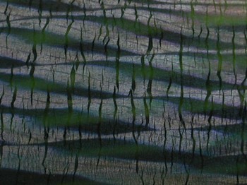 : item #3, image 9