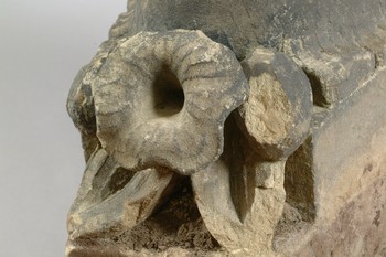 : item #3, image 4