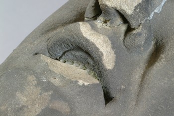 : item #3, image 6