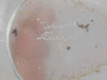 : item #14, image 7