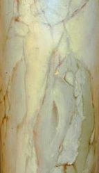: item #11, image 8