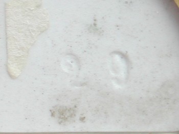 : item #15, image 5