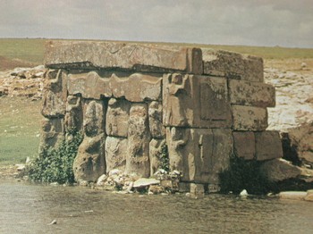 : item #1, image 5
