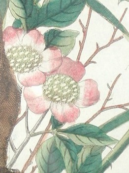 : item #10, image 4