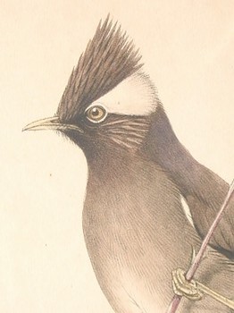 : item #21, image 3