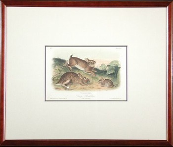 : item #10, image 2
