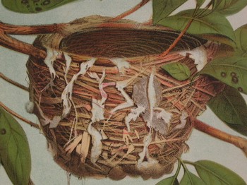 : item #9, image 3