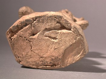 : item #25, image 5
