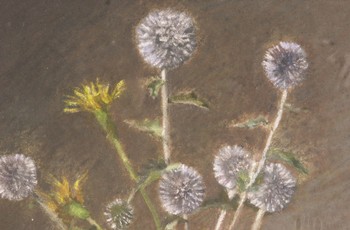 : item #8, image 4