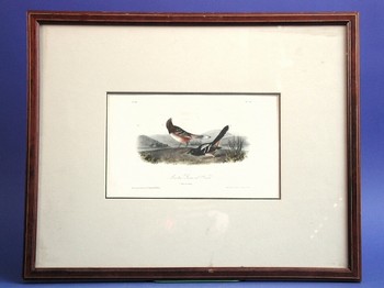 : item #1, image 1