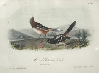 : item #1, image 4