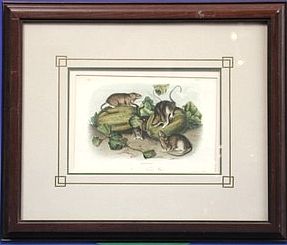 : item #19, image 1