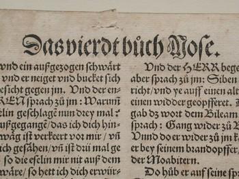 : item #1, image 3