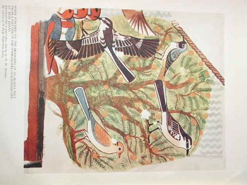 : item #41, image 2