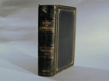 : item #6, image 1