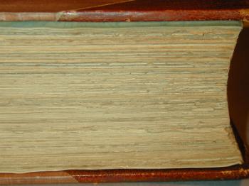 : item #55, image 4