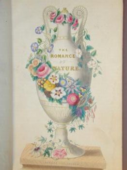 : item #21, image 2