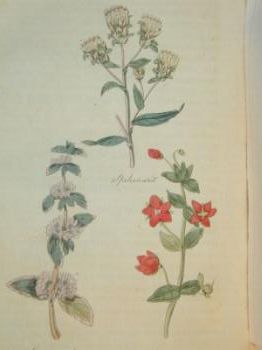 : item #22, image 4