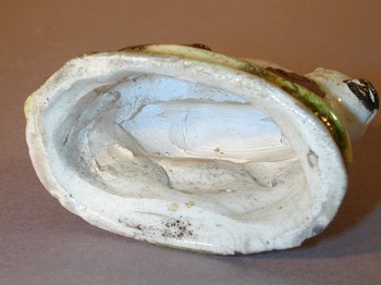 : item #11, image 4