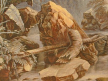 : item #8, image 4