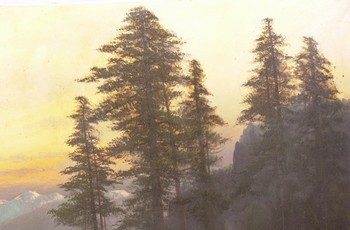 : item #19, image 3