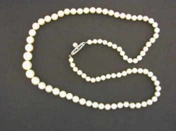 : item #7, image 1