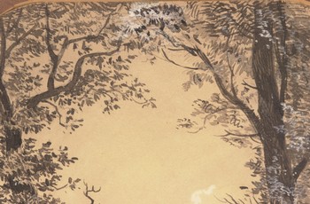 : item #29, image 6