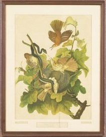 : item #28, image 1