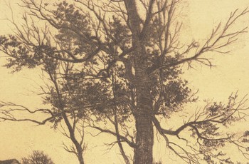 : item #27, image 6