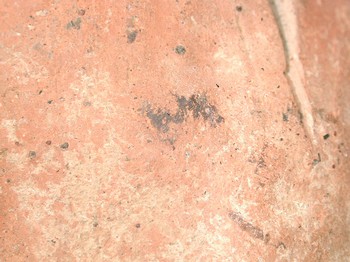 : item #4, image 9