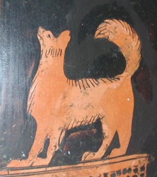 : item #1, image 7