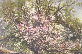 : item #40, image 6