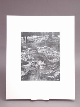 : item #3, image 1