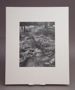 : item #3, image 2